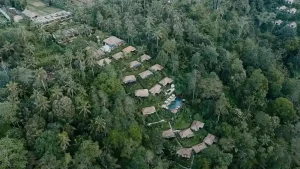 How to Choose Your Ideal Bali Longevity Retreat Package
