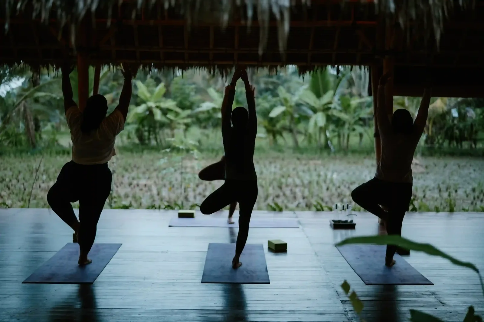 Guests practising yoga in an open pavilion above Ubud rice fields